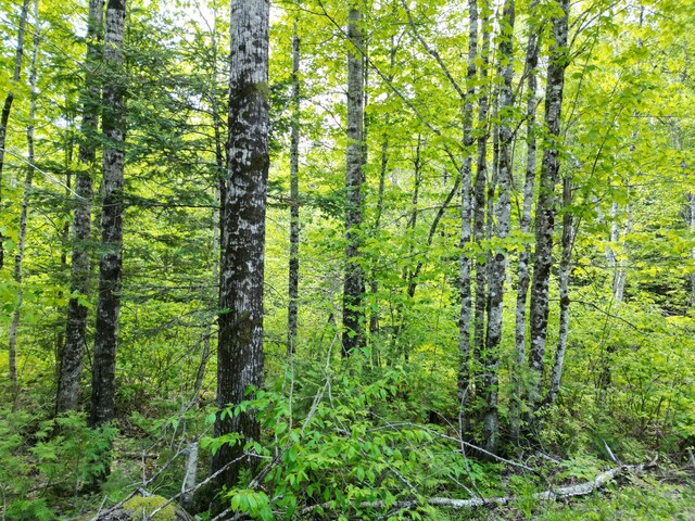 LOT12-1A Hale Farm Rd, Lee, ME 04455 - photo 6