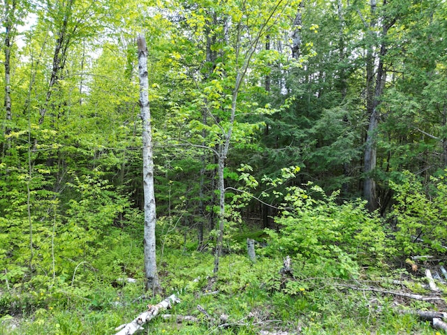 LOT12-1A Hale Farm Rd, Lee, ME 04455 - photo 7