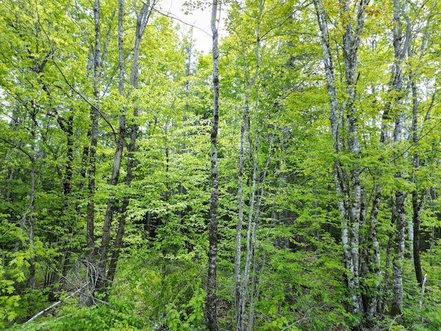 LOT12-1A Hale Farm Rd, Lee, ME 04455 - photo 8