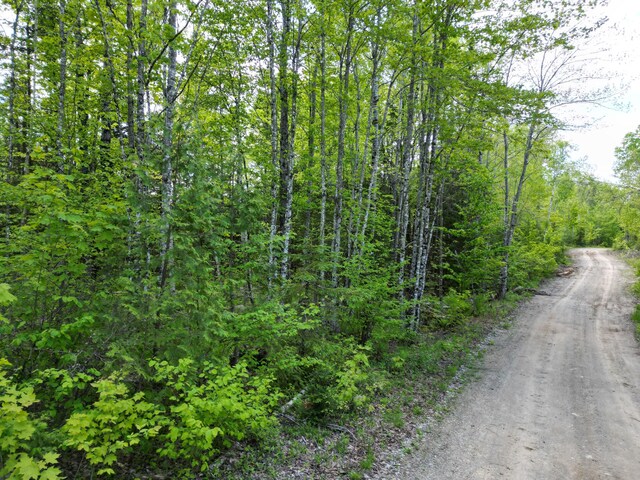 LOT12-1A Hale Farm Rd, Lee, ME 04455 - photo 9