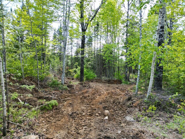 LOT12-1A Hale Farm Rd, Lee, ME 04455 - photo 11