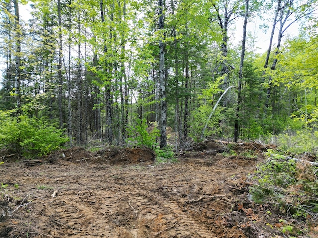 LOT12-1A Hale Farm Rd, Lee, ME 04455 - photo 2