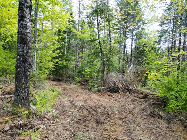 LOT12-1A Hale Farm Rd, Lee, ME 04455 - photo 4