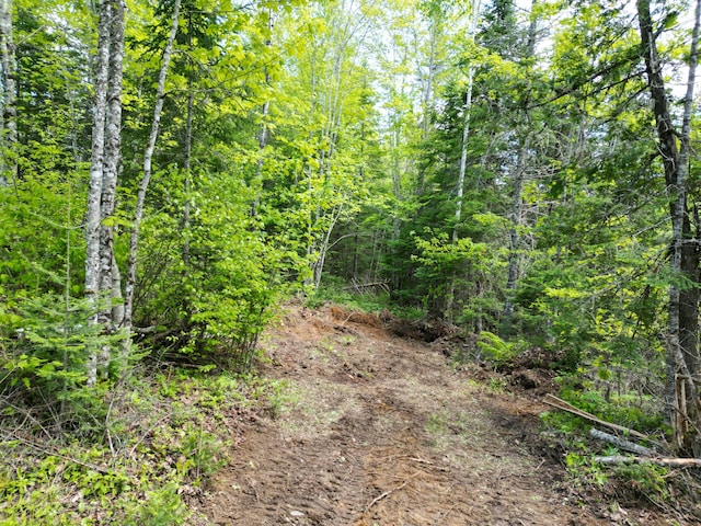 LOT12-1A Hale Farm Rd, Lee, ME 04455 - photo 3