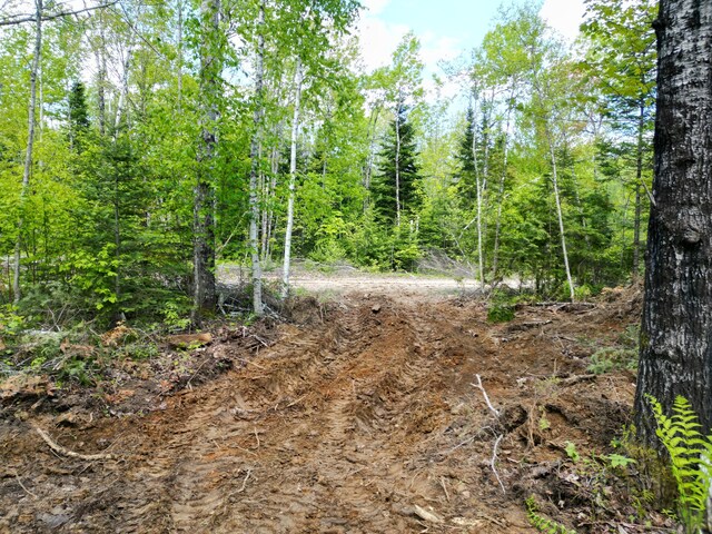 LOT12-1A Hale Farm Rd, Lee, ME 04455 - photo 1