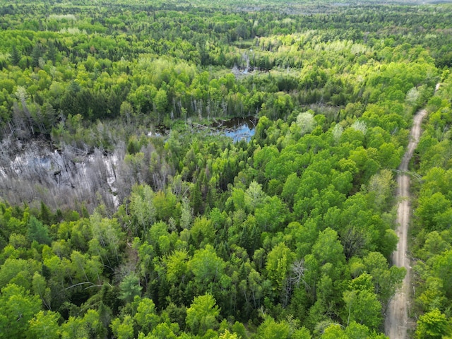 LOT12-1A Hale Farm Rd, Lee, ME 04455 - photo 12
