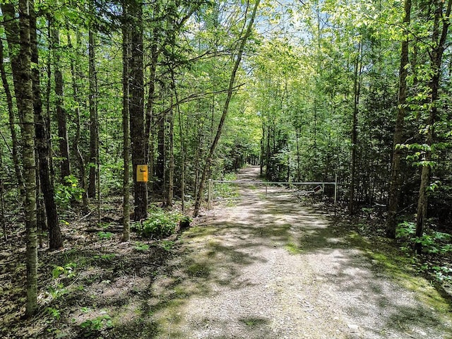 125 Lone Indian Trl, Augusta, ME 04330 - view of dirt / gravel road with a view of trees