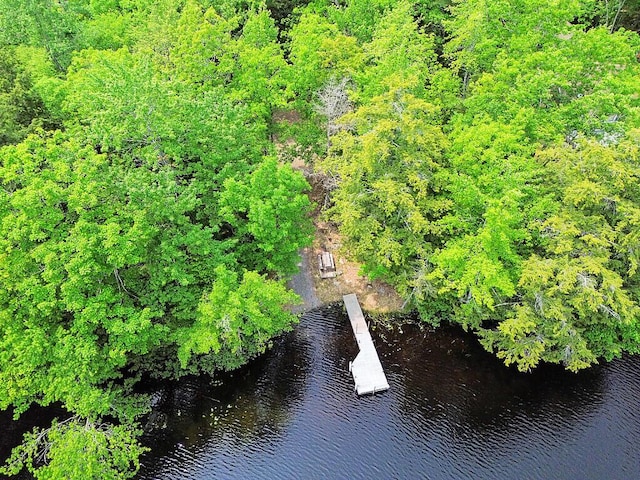 125 Lone Indian Trl, Augusta, ME 04330 - bird's eye view of a large body of water