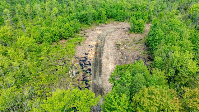 1-14-12 Main Rd, Greenbush, ME 04418 - photo 14
