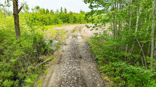 1-14-12 Main Rd, Greenbush, ME 04418 - photo 2