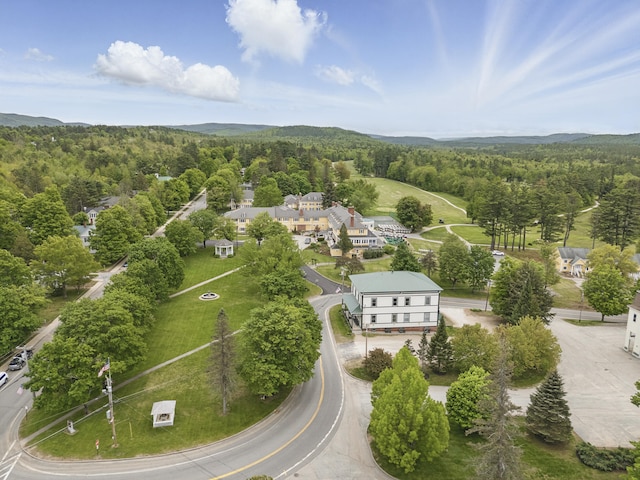 15 Mill Hl Unit 2B, Bethel, ME 04217 - drone / aerial view of a heavily wooded area