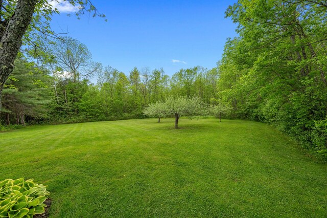 11 Troy Rd, Detroit, ME 04929 - photo 52