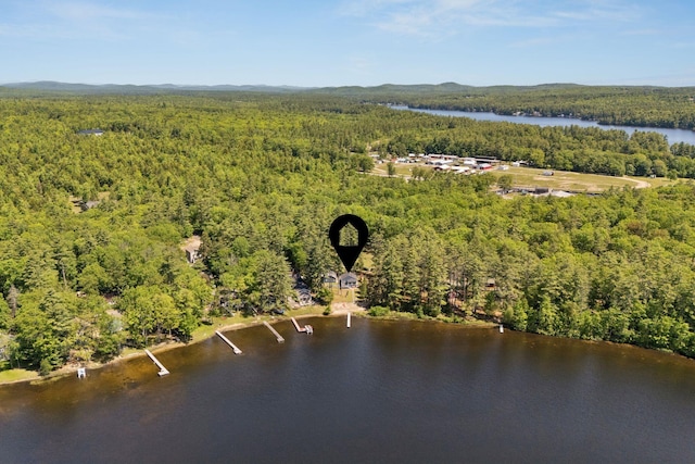 31 Middle Rd, Acton, ME 04001 - drone / aerial view of a forest and a large body of water