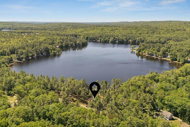 31 Middle Rd, Acton, ME 04001 - aerial view of a heavily wooded area and a large body of water