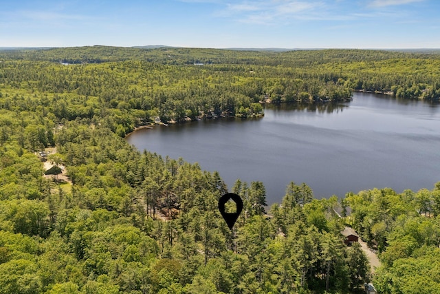 31 Middle Rd, Acton, ME 04001 - drone / aerial view of a heavily wooded area and a large body of water