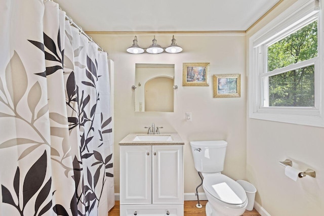 16 Van Buren Dr, Newfield, ME 04095 - bathroom with toilet, vanity, baseboards, curtained shower, and wood finished floors