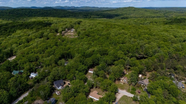 16 Van Buren Dr, Newfield, ME 04095 - aerial view of property and surrounding area featuring a forest and a mountainous background