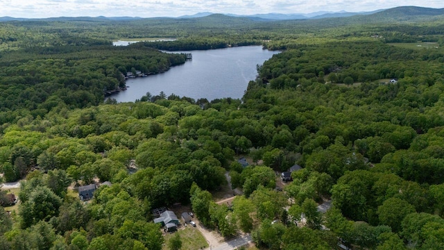 16 Van Buren Dr, Newfield, ME 04095 - bird's eye view of a heavily wooded area and a water and mountain view