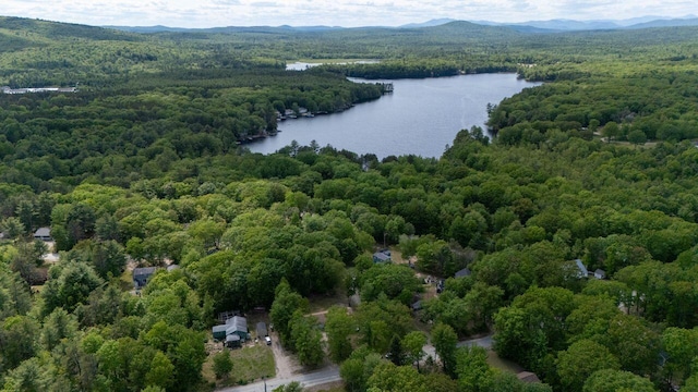 16 Van Buren Dr, Newfield, ME 04095 - bird's eye view of a heavily wooded area and a water and mountain view