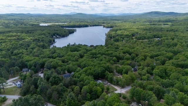 16 Van Buren Dr, Newfield, ME 04095 - aerial view of a water and mountain view and a forest