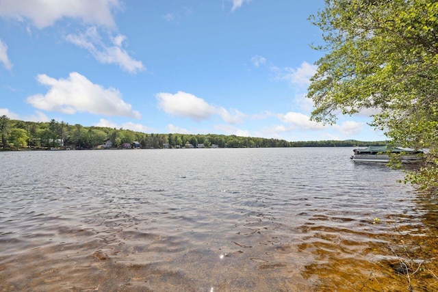 16 Van Buren Dr, Newfield, ME 04095 - water view featuring a dock