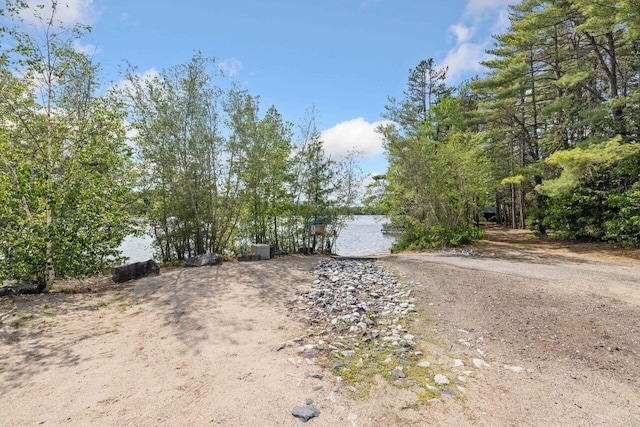 16 Van Buren Dr, Newfield, ME 04095 - view of yard
