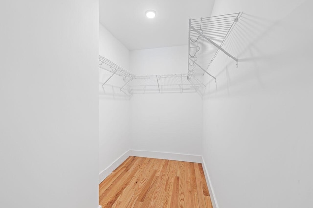 12 Haleys Ct Unit 21, Wells, ME 04090 - walk in closet with light wood-style floors