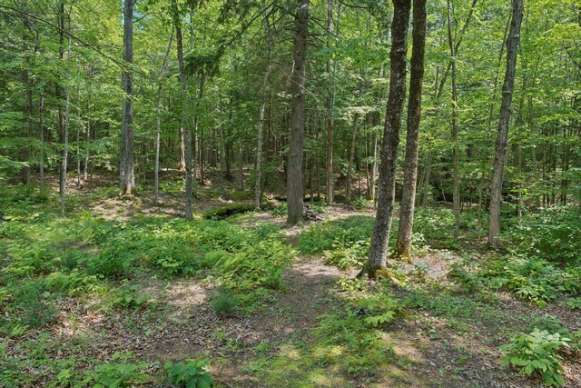 72 Lakeside Dr, Falmouth, ME 04105 - photo 48