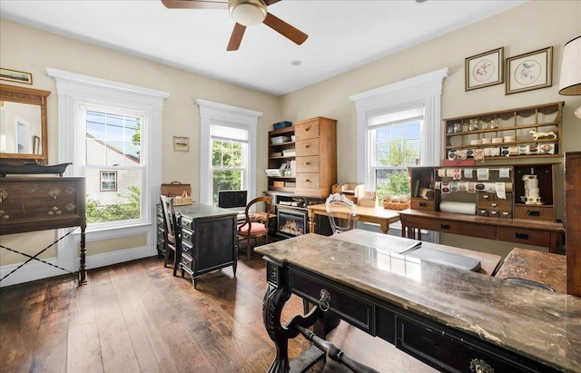 44 Bridge St, Bucksport, ME 04416 - office area with ceiling fan, wood-type flooring, and baseboards