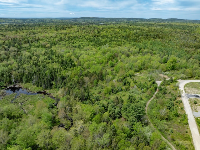 54 Emerson Preble Rd, Sullivan, ME 04664