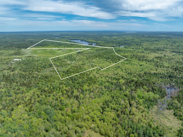 54 Emerson Preble Rd, Sullivan, ME 04664