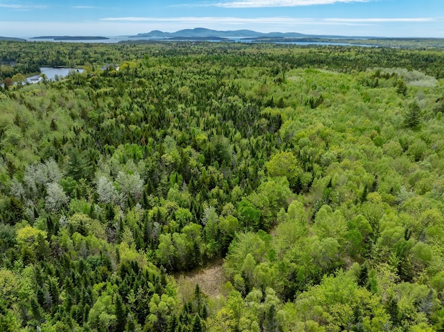 54 Emerson Preble Rd, Sullivan, ME 04664