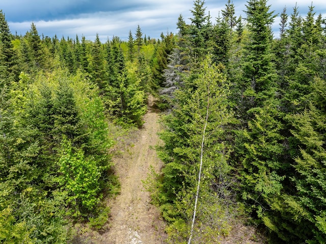 54 Emerson Preble Rd, Sullivan, ME 04664