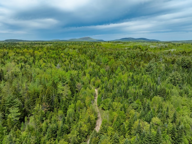 54 Emerson Preble Rd, Sullivan, ME 04664