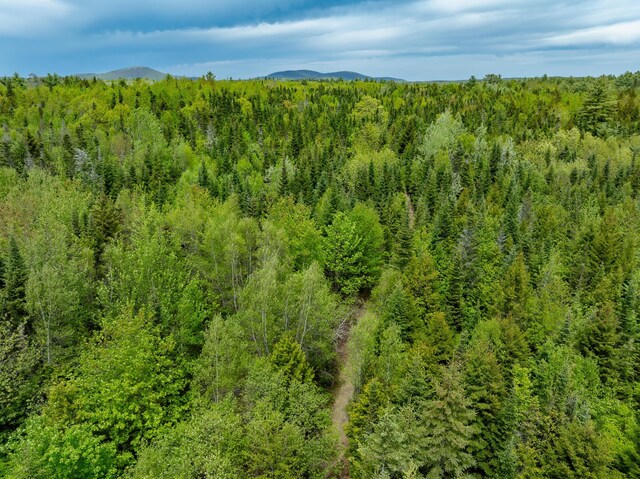 54 Emerson Preble Rd, Sullivan, ME 04664