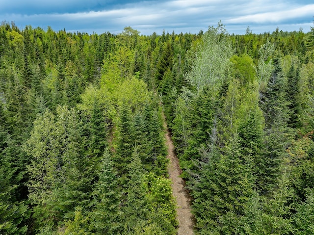 54 Emerson Preble Rd, Sullivan, ME 04664