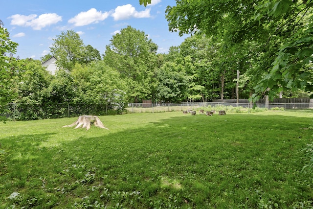 127 Lake St, Auburn, ME 04210 - view of yard