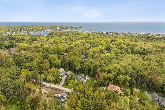 18 Forest Hill Ln, Kennebunk, ME 04043 - aerial view of a heavily wooded area and a large body of water