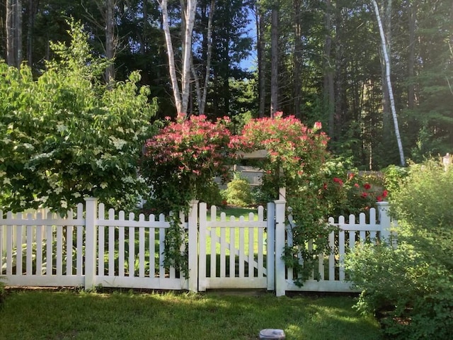 18 Forest Hill Ln, Kennebunk, ME 04043 - view of gate