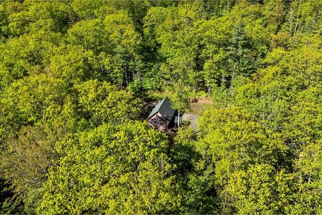 0 Allen Hill Ln, Manchester, ME 04351 - photo 4