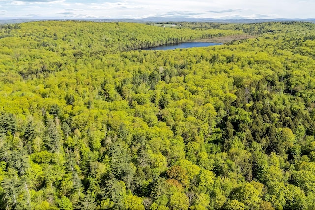 0 Allen Hill Ln, Manchester, ME 04351 - photo 7