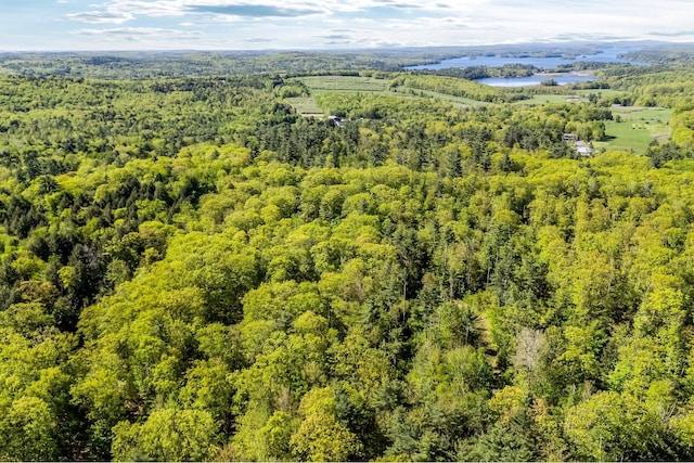 0 Allen Hill Ln, Manchester, ME 04351 - photo 10