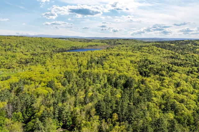 0 Allen Hill Ln, Manchester, ME 04351 - photo 14