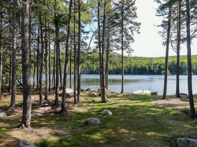317 Pug Lakes Rd, Lakeville, ME 04487 - photo 6