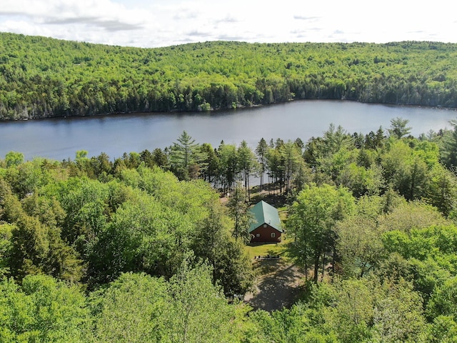 317 Pug Lakes Rd, Lakeville, ME 04487 - photo 8