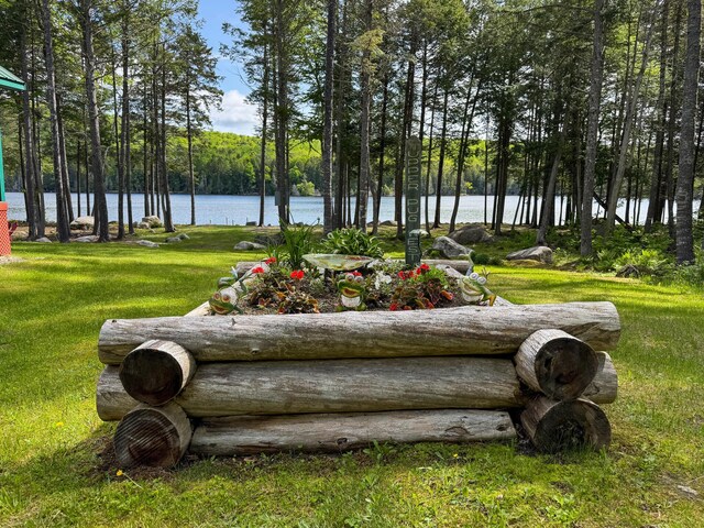 317 Pug Lakes Rd, Lakeville, ME 04487 - photo 13