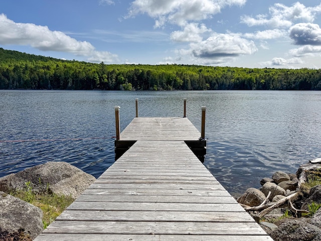 317 Pug Lakes Rd, Lakeville, ME 04487 - photo 15