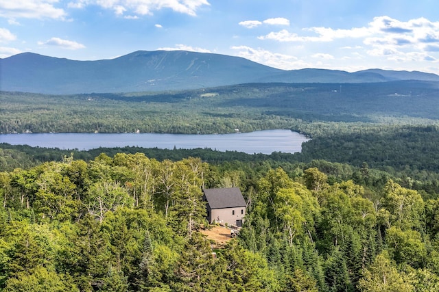19 Barkies Way, Rangeley, ME 04970 - photo 40