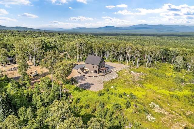19 Barkies Way, Rangeley, ME 04970 - photo 41