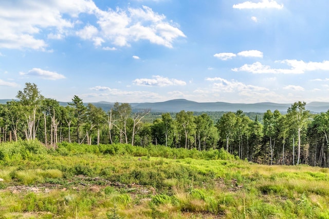 19 Barkies Way, Rangeley, ME 04970 - photo 48